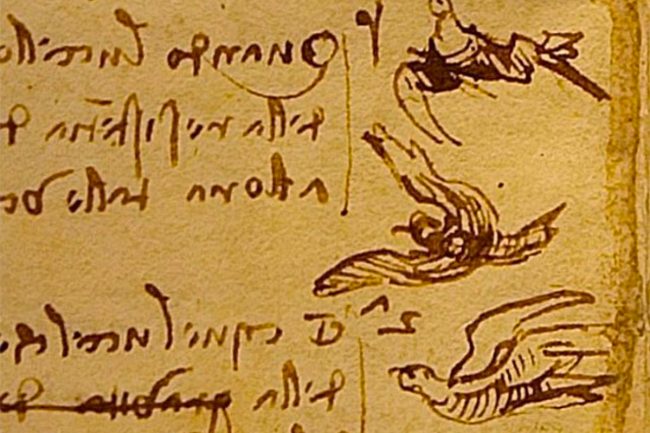 COVER_Codice-volo-uccelli-Leonardo_1